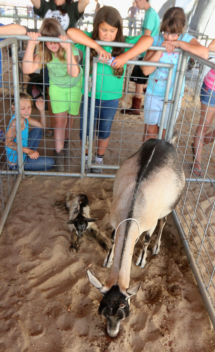 Youth activities at Kings Fair